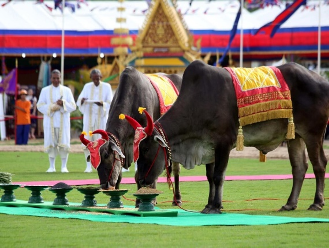 御耕節(jié)（皇家犁地儀式Royal Ploughing Ceremony）