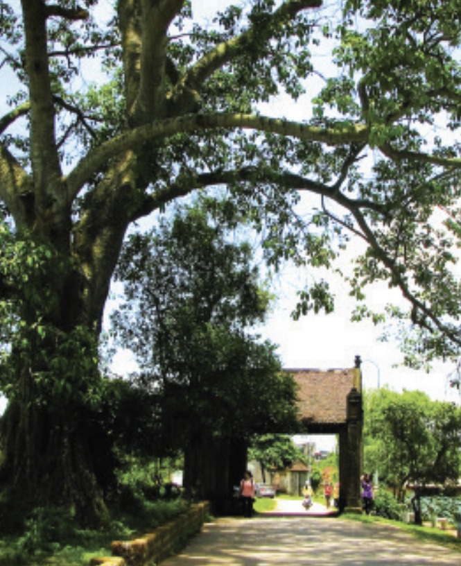 Duong Lam ancient village