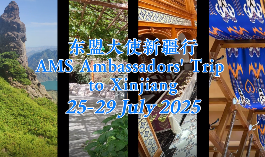 【中心视频】东盟驻华使节赞叹大美新疆