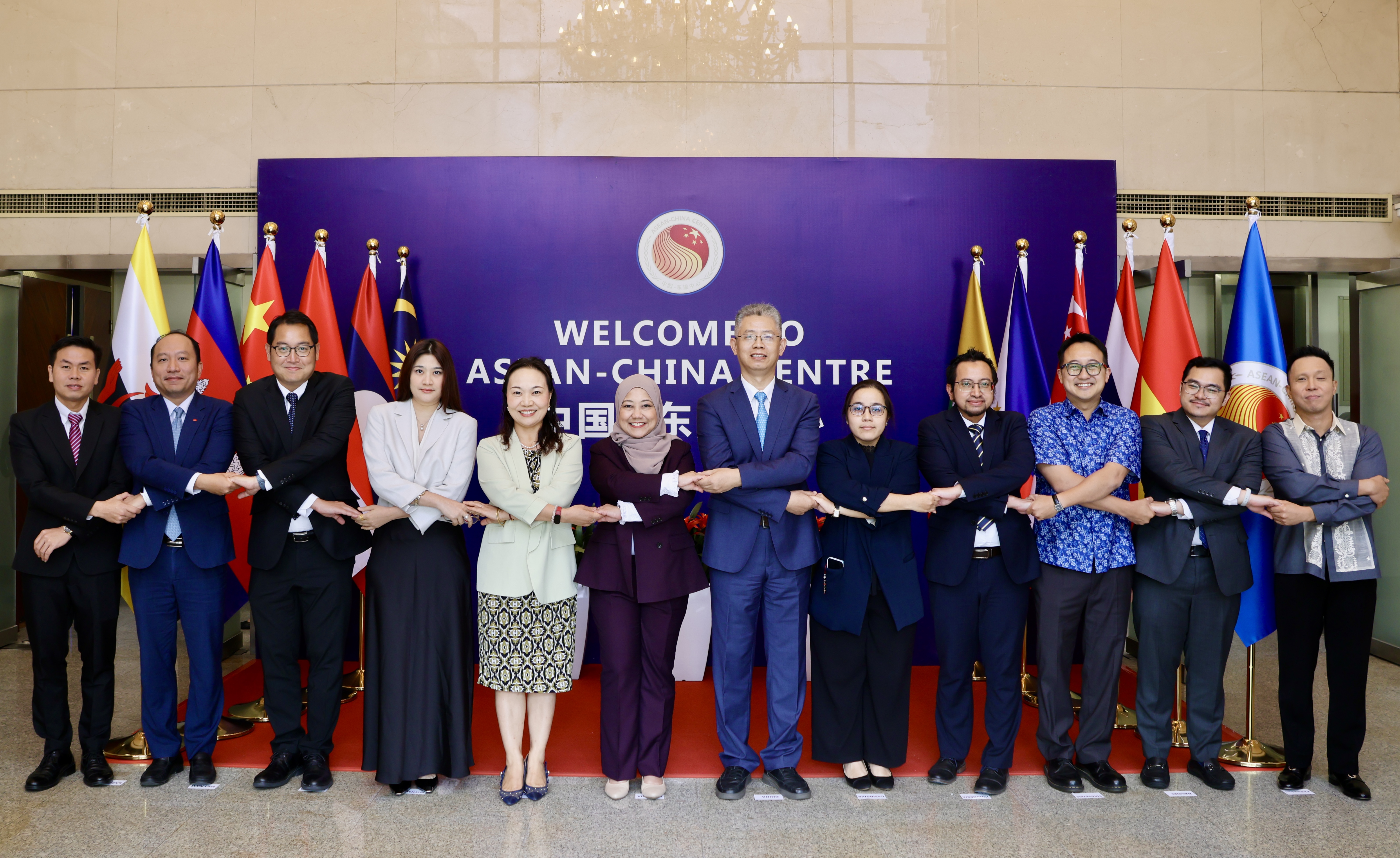 中国—东盟中心联合执行委员会举行2025年度第二次工作组会议
